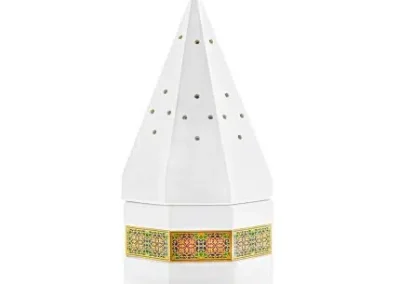 مبخرة-شعر-ابيض-xl-44-430x430